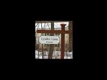 lynlee_lane